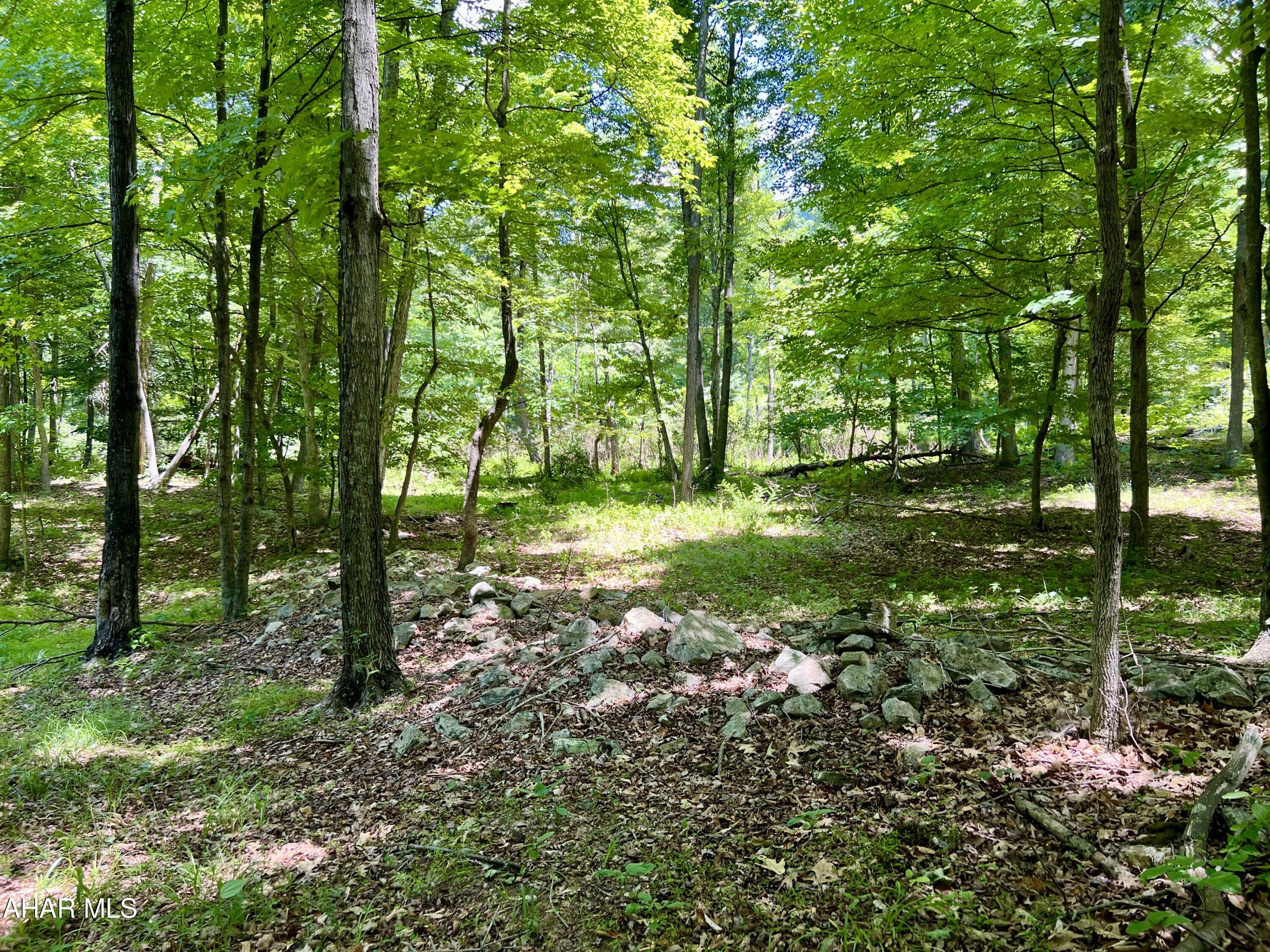 None - Commercial Sale