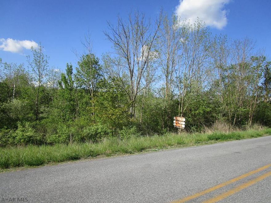 Wooded 13.2 acres with hard road frontage. Good topography. Electric at road. No public water or sewage. Nice building site with country setting within a 30 minute drive of Altoona.