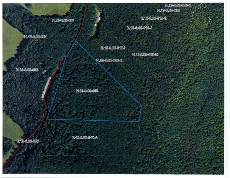 64.739 acres of mountain ground that borders Buchanan State Forest.  Access road from street to top of mountain.  Plenty of deer and room to put your hunting cabin.  A year round spring on top of the mountain attracts plenty of game. Stand on top of the land and Bedford County is on one side and Fulton County is on the other.  This one will not be on the market long!!