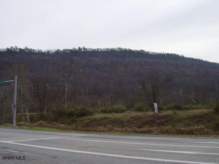 111 ac. of wooded mountain ground with available underground utilities, except water, buyer to drill well.  Utilities are a short distance along deeded R/W. Land sits above Church Hill Manor Development.  Minutes from downtown Bedford.  Panoramic view. Call for map of tract and deed restrictions.