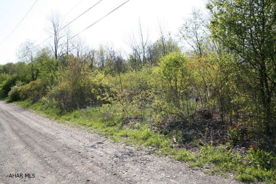 Property consists of 1.093 acres of vacant land; public sewerage is availabe to the site. Tap in fee is $2500 through Chestnut Ridge Municipal Authority. Borders Garrett Road on one side with a commanding view out the opposite direction.