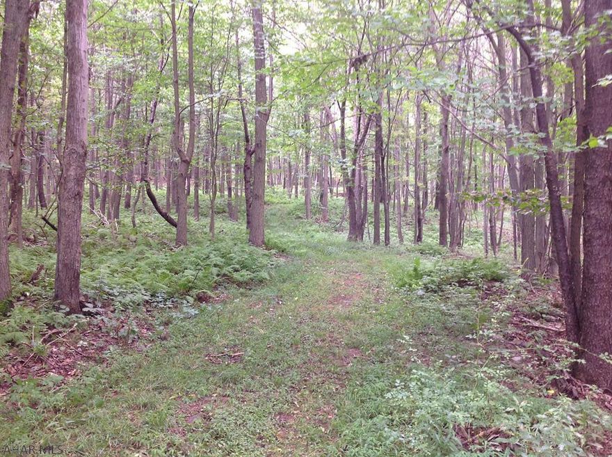 Secluded 46 wooded acres with two streams going through it.  Great hunting property of deer, turkey & bear.  Mature timber throughout property with a warming shed.  Land is very secluded - please make arrangements with Agent to show.  Driveby is not recommended.  Priced to sell.  Surrounded by farms as a food source for hunting.