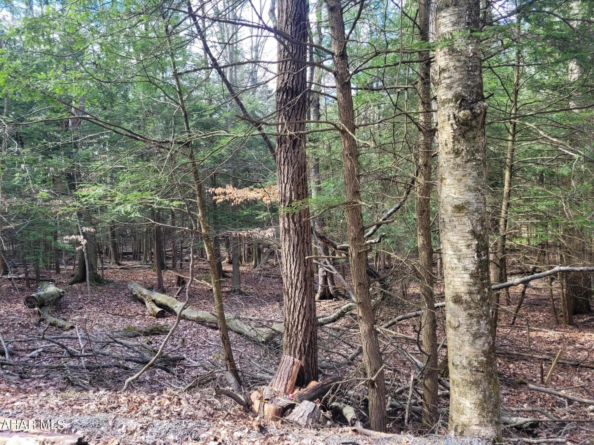 Glendale Yearound - Land