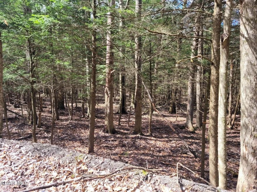Double wooded lots that give you an acre of land to build your dream home or cabin.  Public water and sewer available as well as electricity.