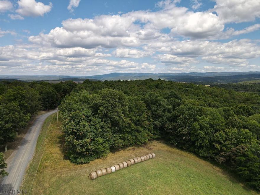 A wonderful site for building your dream home lies within this pristine property.  Set high up on a mountainside sits this wooded lot with excellent accessibility from state roads.  The area has great views and it would make an ideal spot for building.  Short drive from historic Bedford County, Pennsylvania Turnpike and Interstate 99.
