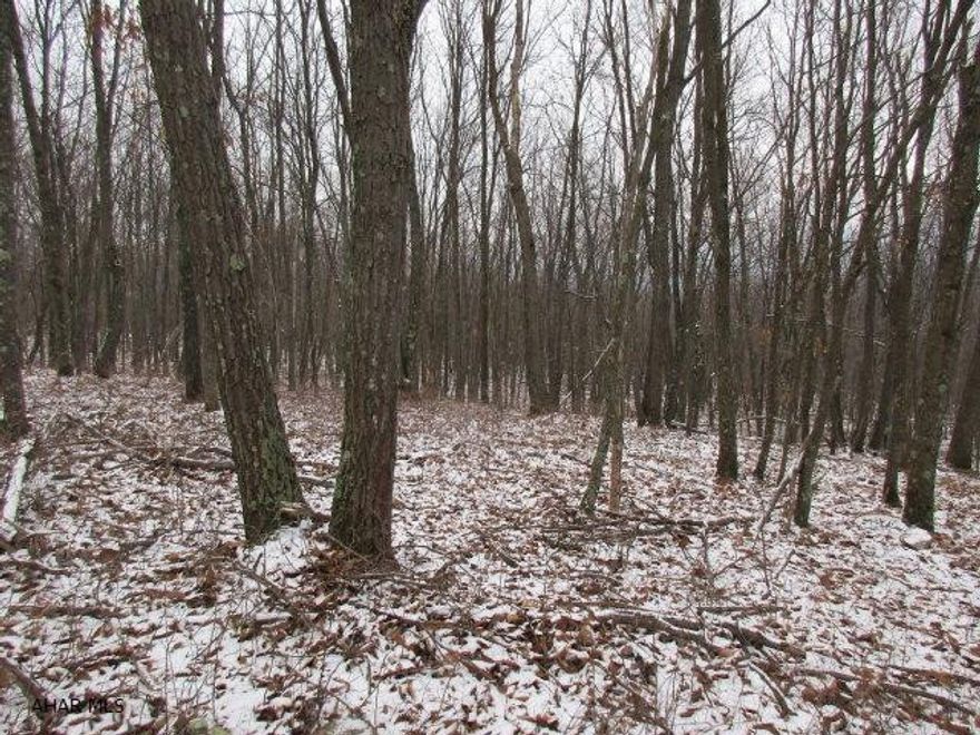 PRICE REDUCTION!! Highly motivated seller will consider any reasonable offer!! Great hunting ground on top of mountain. Quiet & secluded property is a hunters paradise. Deer are every where.  Sign is approximate. No electricity or water. This is unimproved land. Road to property is dirt. Four wheel drive is needed. Near State Game Lands. Tartan Lane is on top of the mountain and is wooded. This is a private road. The land would need a survey to mark corners. The real estate sign is approximate & not guaranteed as being exactly on the property. From Bear Gap Road to the end of Tartan Lane is 1 1/4 miles to the property.