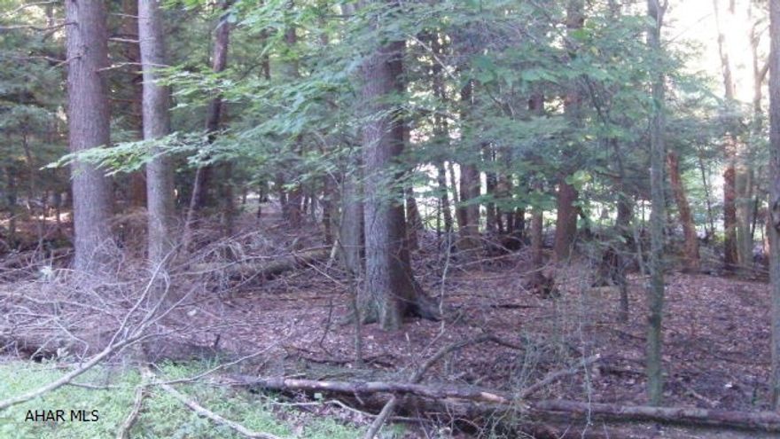 An acre of wooded land to build your family sanctuary, whether it be full time or a vacation get-a-way.  Located in the gated community of Glendale Yearound with many recreational facilities including a swimming pool, playgrounds, tennis/basketball/volleyball courts, horseshoes, clubhouse, dog park, etc.  Adjacent to Prince Gallitzin State Park and Glendale Lake and six miles from Rock Run ATV Park.