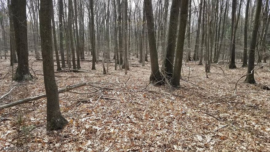 Are you looking for a level to gently sloping building lot that has been perk approved?  Look no further, this 2.99 acre wooded lot has been approved for a sand mound system and could be the perfect place to build your dream home or vacation cabin.  This piece of paradise is located close to Raystown Lake, Raystown Resort, Trough Creek State Park and thousands of acres of State Game Lands. Enjoy nature and all that Huntingdon County has to offer by making this yours.