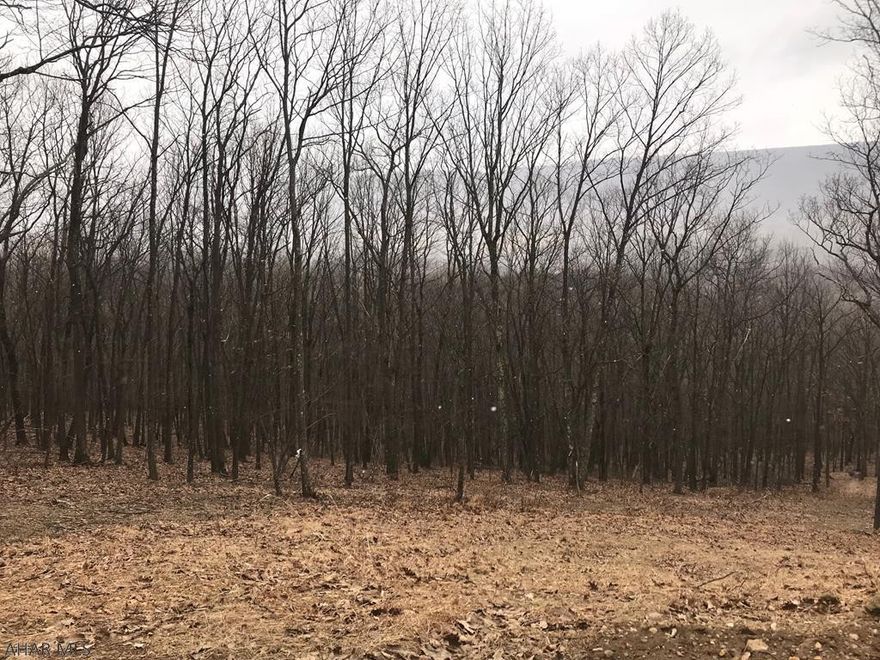 Build your dream vacation home or year round home atop the mountain in Shy Beaver Lakeview Estates, a quiet development close Snyder's Run Boat Launch.  Enjoy picturesque mountain views.  Lot is on a cul-de-sac on Fernwood Drive.  Don't miss out on the opportunity to build that perfect home you've been dreaming about.  Enjoy all Raystown Lake has to offer for all seasons.  Adjoining property with home also for sale ID#16-04-01.68