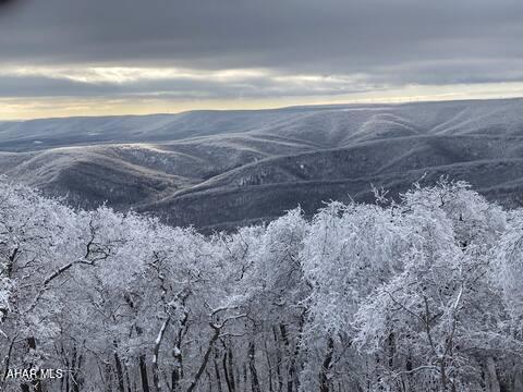 Blue Knob - Residential