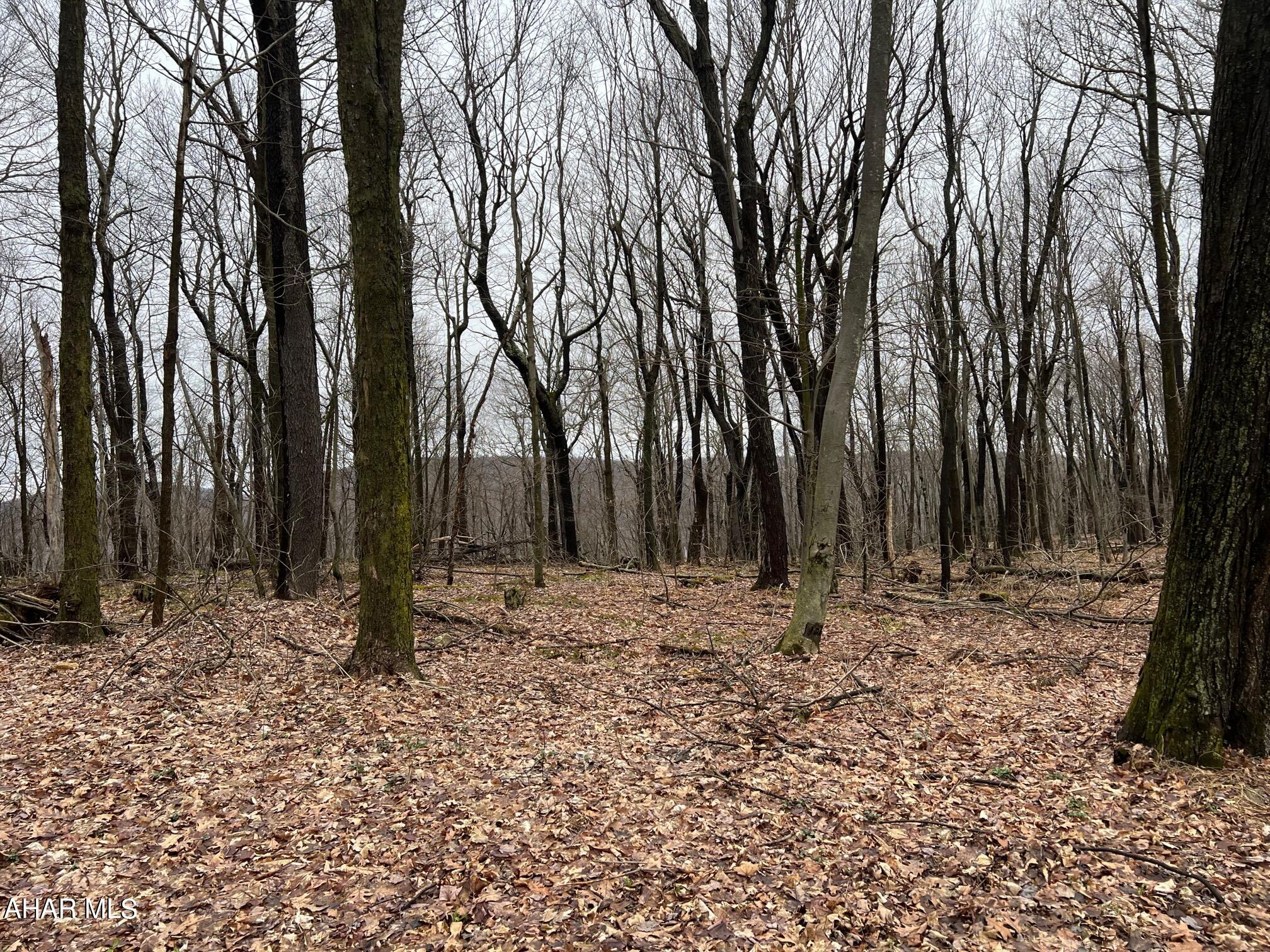 Blue Knob - Commercial Sale