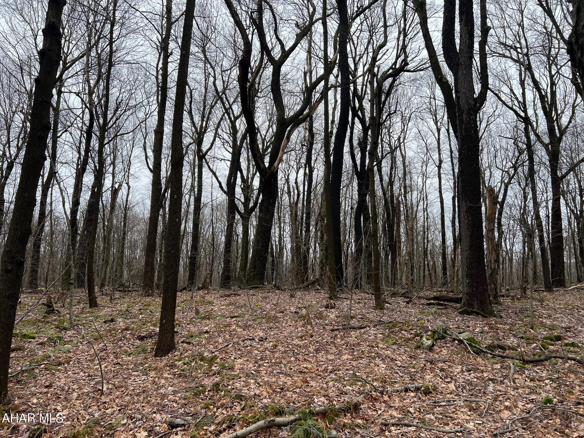 Blue Knob - Commercial Sale