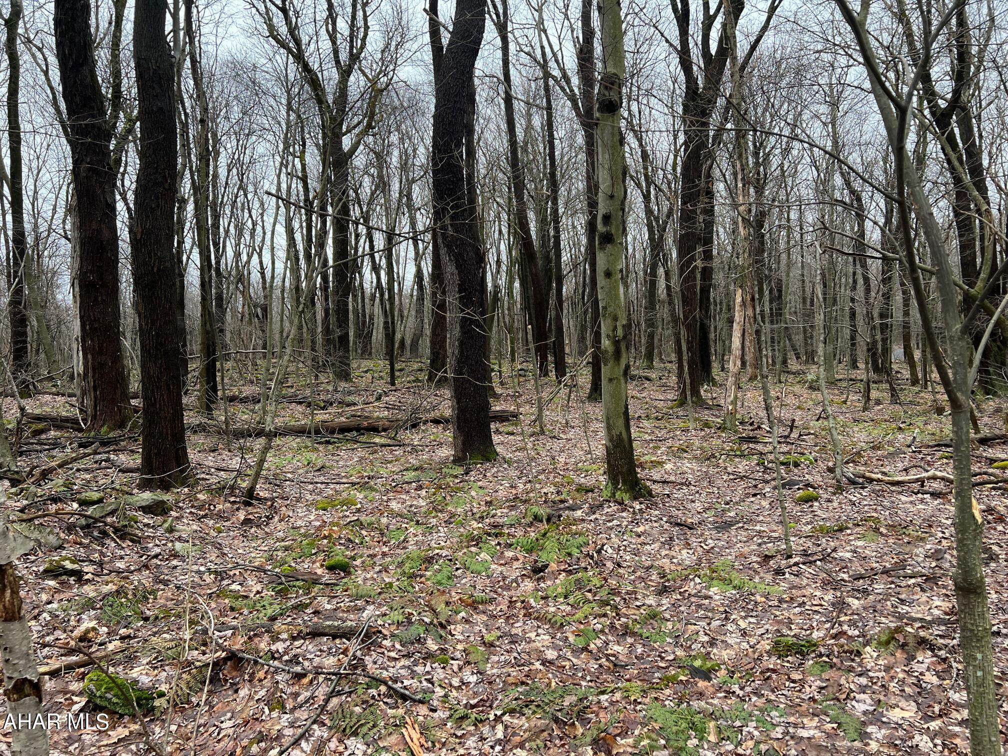 Blue Knob - Commercial Sale