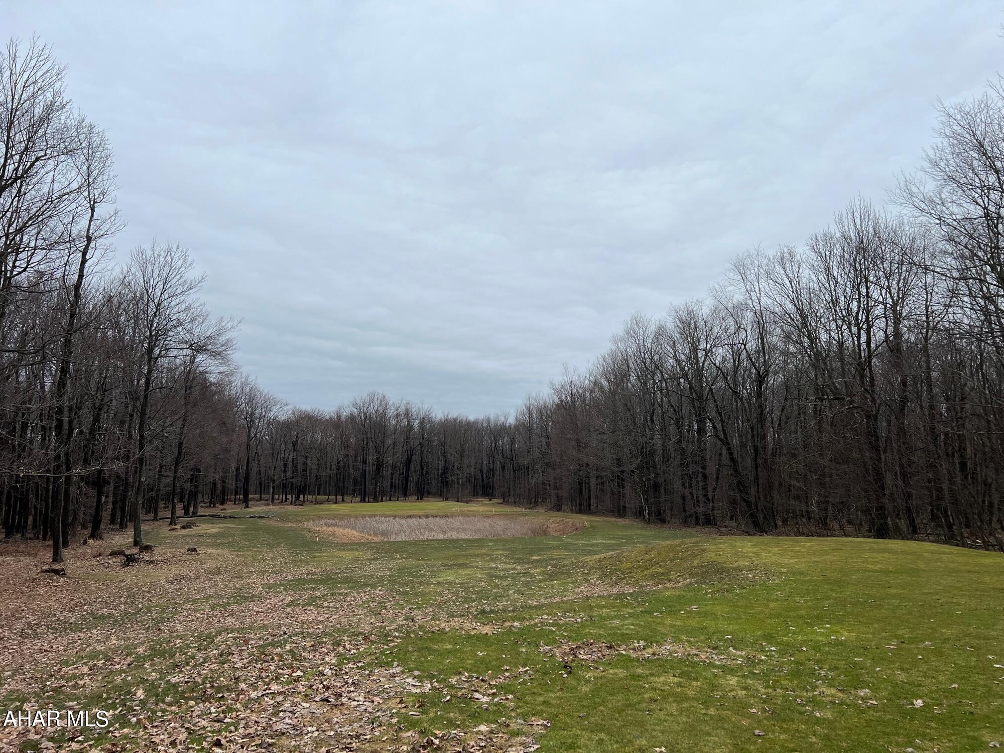 Blue Knob - Commercial Sale