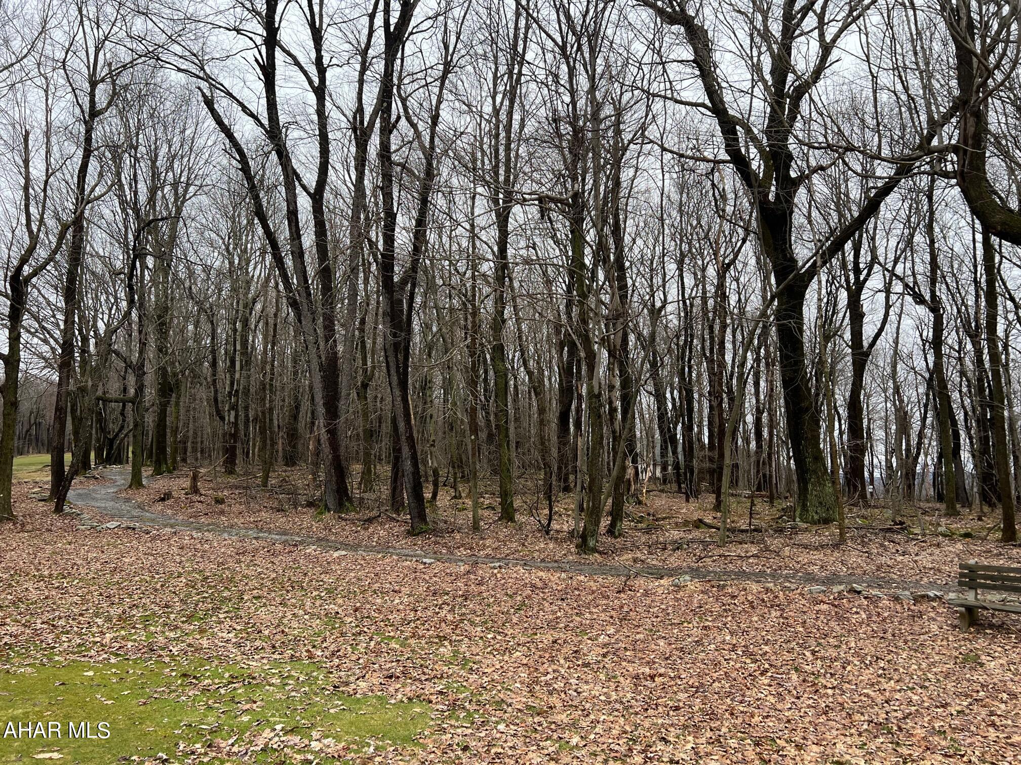 Blue Knob - Commercial Sale