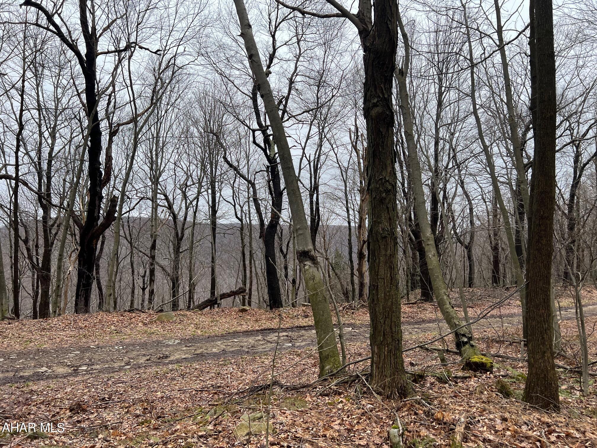 Blue Knob - Commercial Sale