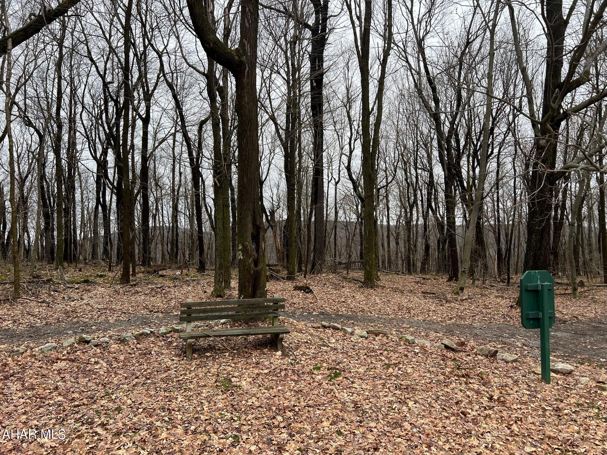 Blue Knob - Commercial Sale