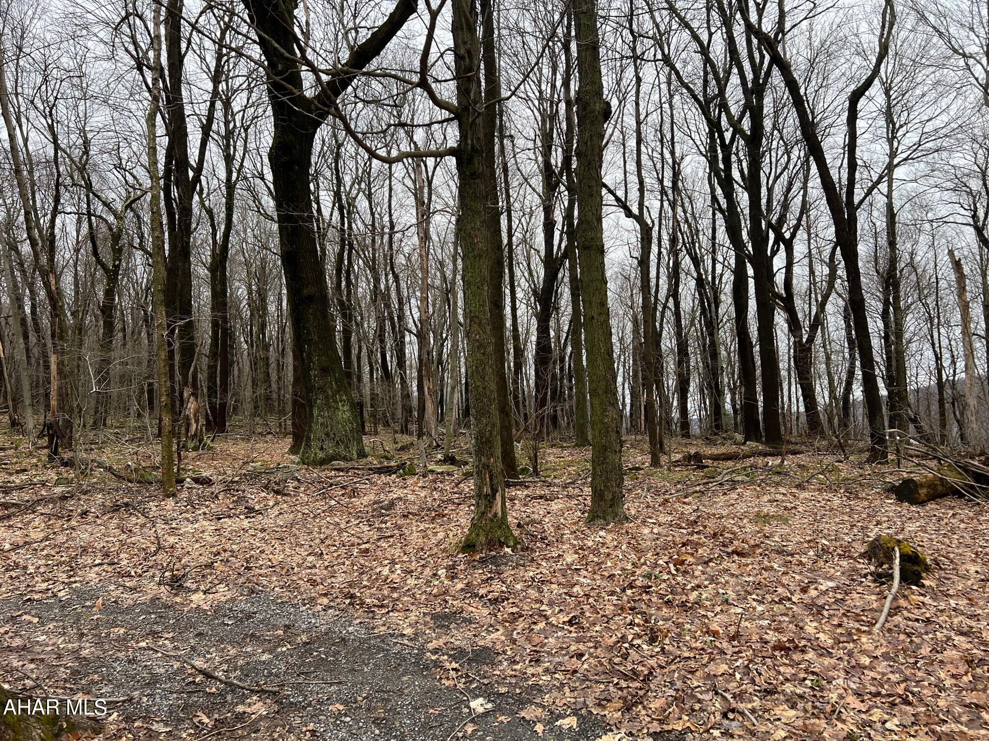 Blue Knob - Commercial Sale