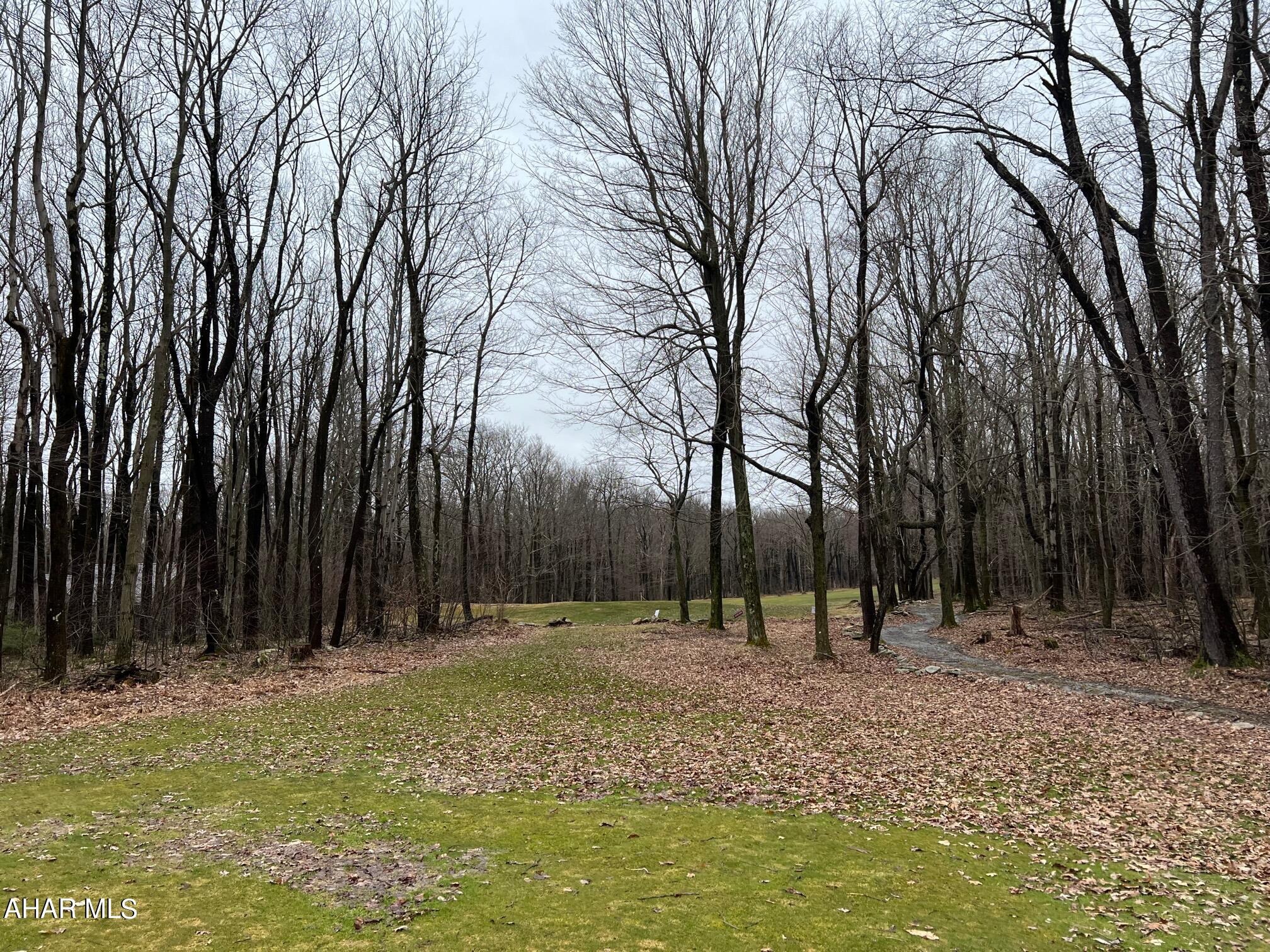 Blue Knob - Commercial Sale