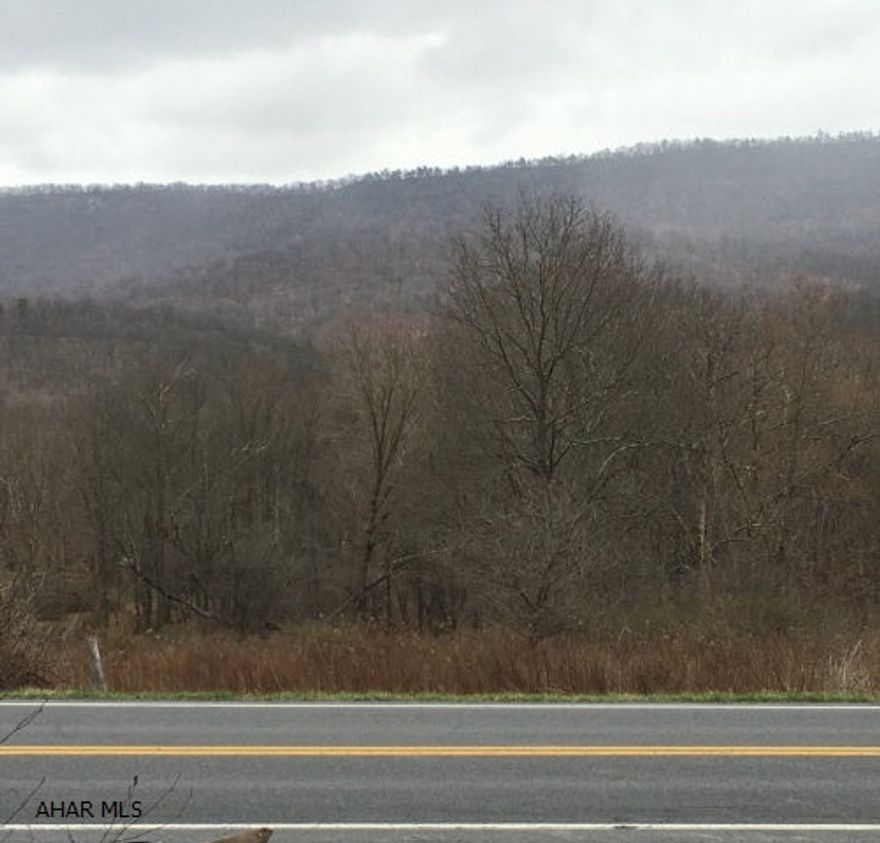 Beautiful 15 acres close to Historical Downtown Bedford. Located only 2 minutes from the Omni Bedford Springs Resort. This property features a walking or biking trail that spans for miles. A building site has already been cleared near the approved septic site.