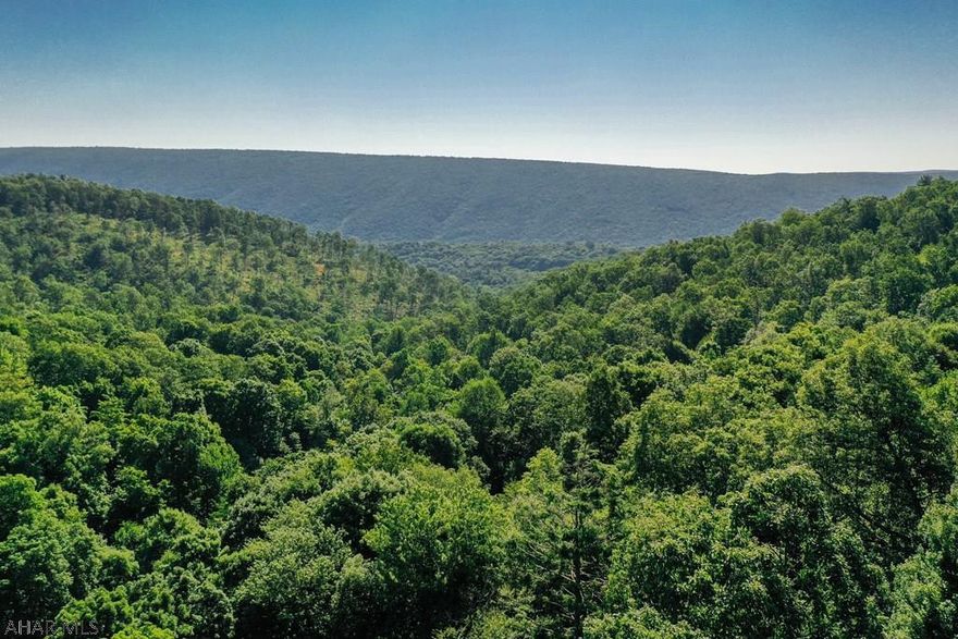See the Drone Video here: https://youtu.be/EpABRayVMtk   Beautiful Mountain area, 158 acres of woods.This property is accessible by RIGHT OF WAY from Rt 96. It is mostly slopes and had some timber cut in 1999-2000. An additional 48 acres was cut in the last year to create the perfect habitat for the Golden Winged and Cerulean Warblers ( singing birds) Great hunting all over the 158 acres.  The USDA has a contract for one year to access the 48 acres of the Warbler habitat area. 158 ACRES of Wilderness, privacy, and beautiful views.