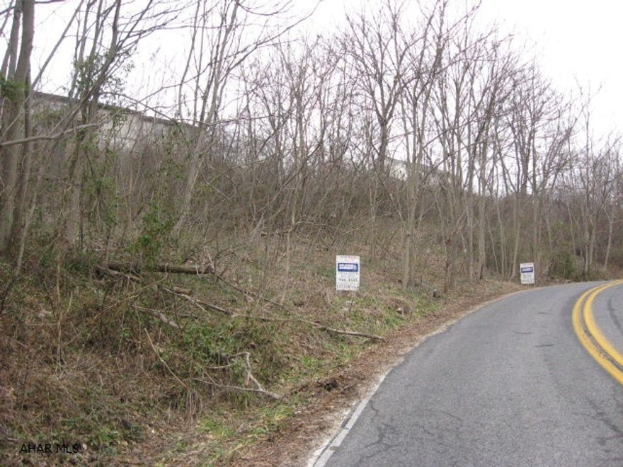 Nice lot in OFiesh Development. Drive by. Sign