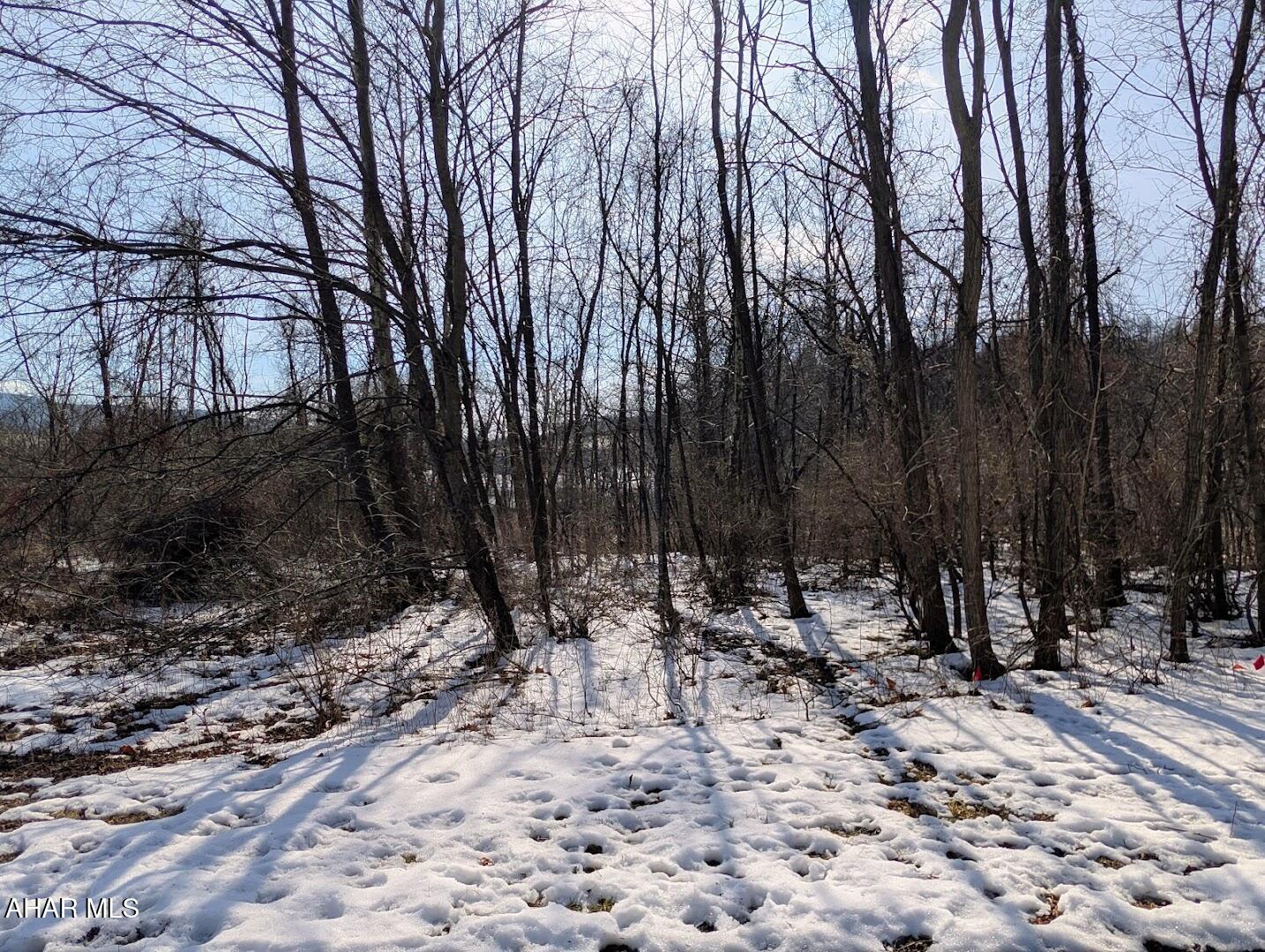 Juniata Mills - Land