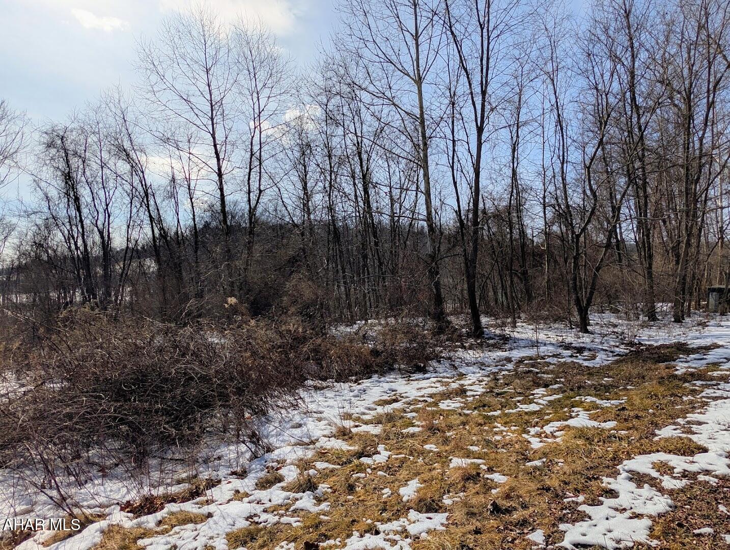 Juniata Mills - Land