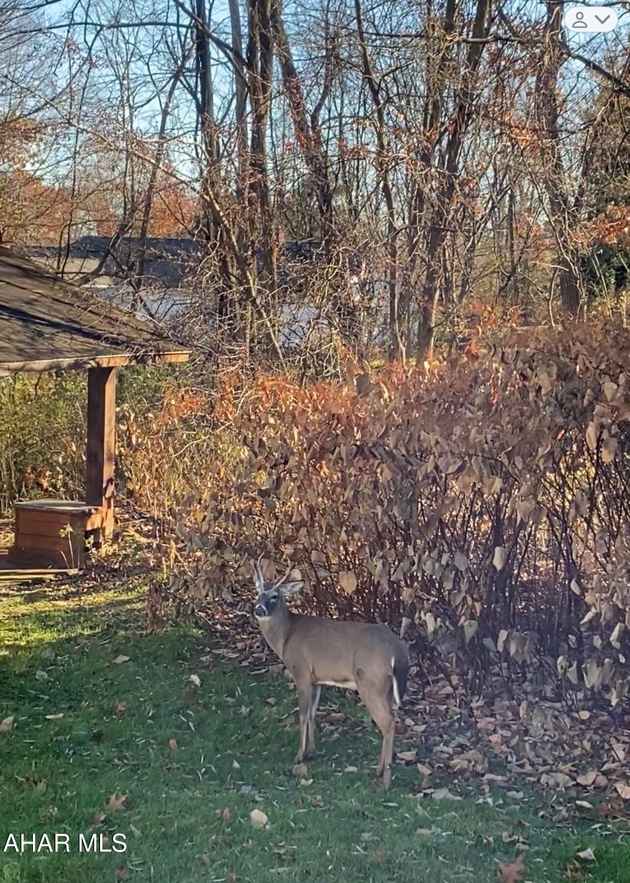 Eldorado - Residential