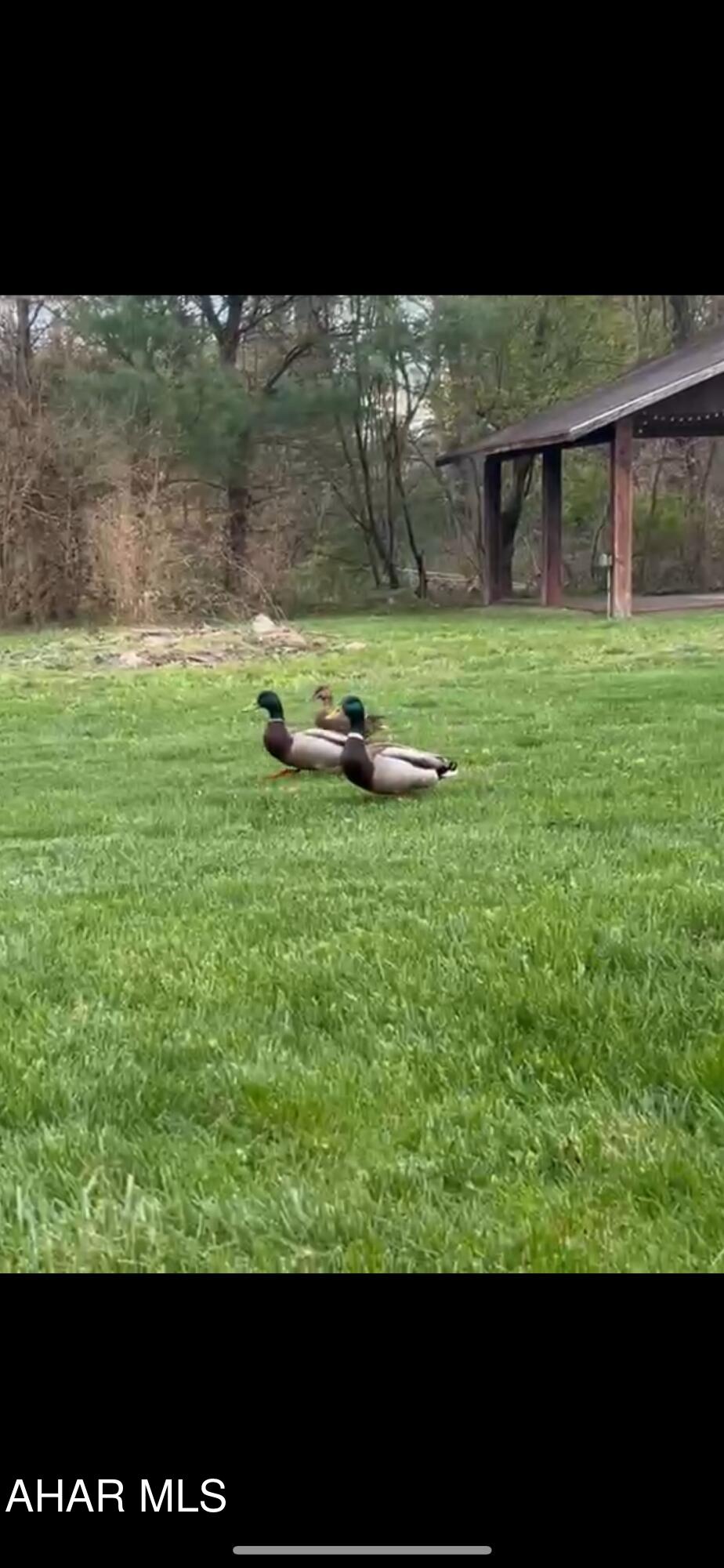 Eldorado - Residential