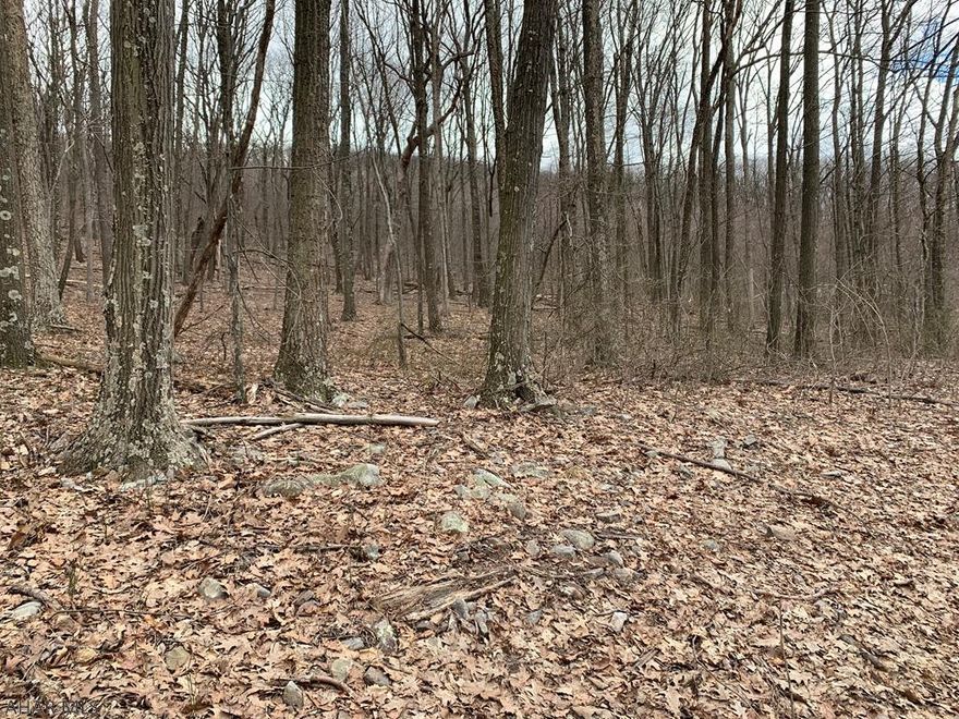 Nice wooded parcel of land consisting of 10 plus acres bordering the Buchanan State Forest. At the top of the property you can have one foot in Bedford County and the other foot in Fulton County which offers an excellent view of both counties.
