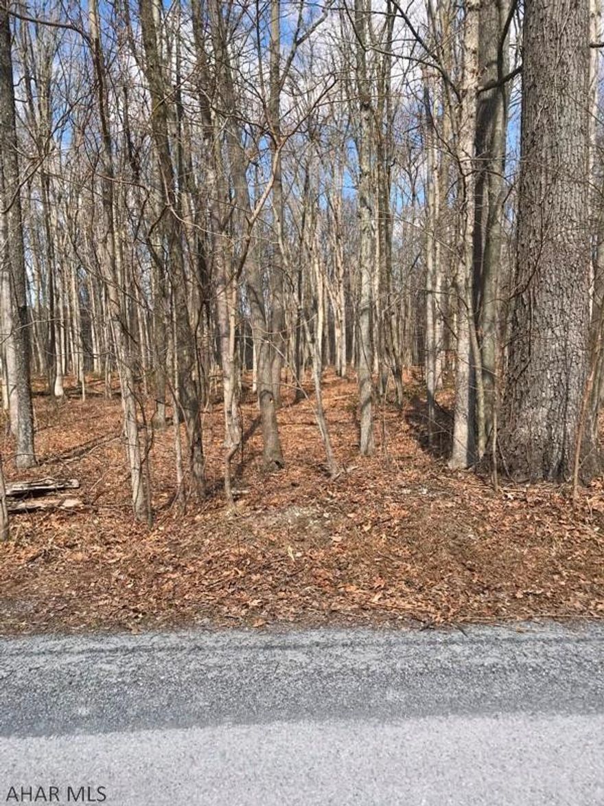 Nice, slightly sloped lot that you can build your dream house own.  Wooded parcel that can keep your home semi private from neighboring homes.   Nicely secluded county living but only 20 minutes away from larger shopping needs.