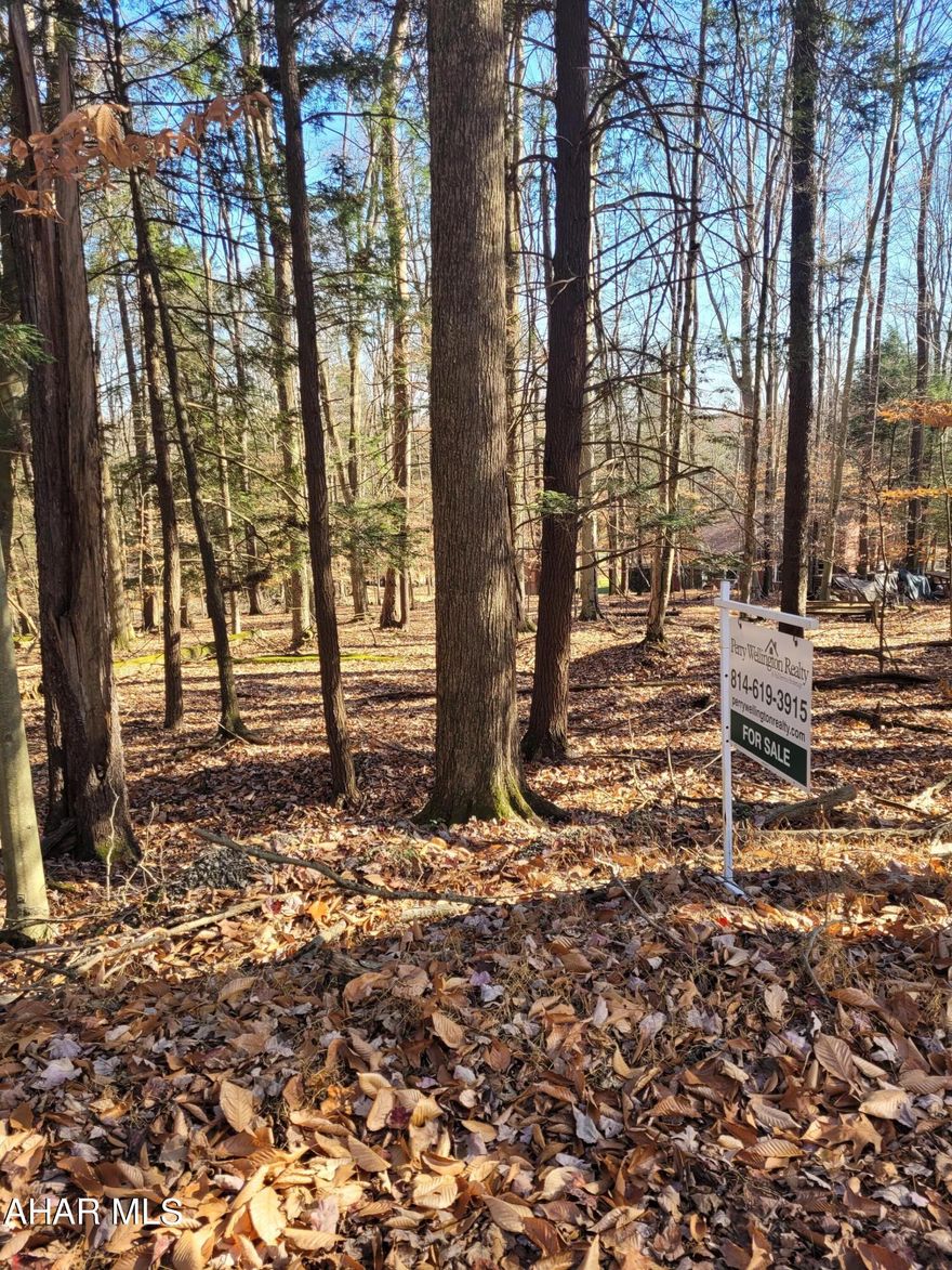 1/2 acre wooded lot in a gated community.  Public water and sewer and electricity are available.
Community is adjacent to Prince Gallitzin State Park / Glendale Lake / State Gamelands.