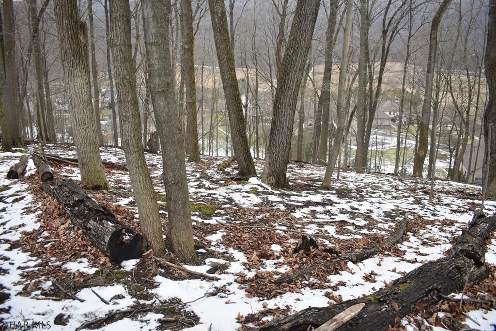 Countryside Estates - Residential