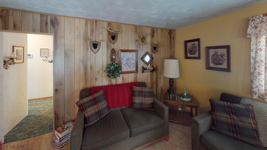 Lower Brush Mountain Road - Residential