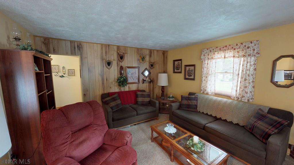 Lower Brush Mountain Road - Residential