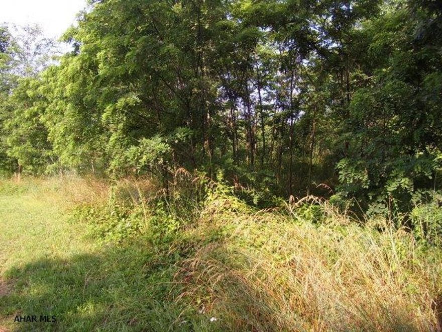 Available lot in Schellsburg Borough next to highway 30.