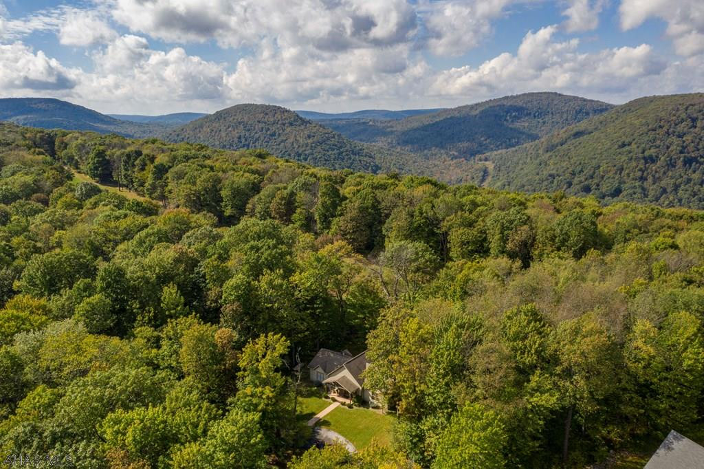 Blue Knob - Residential