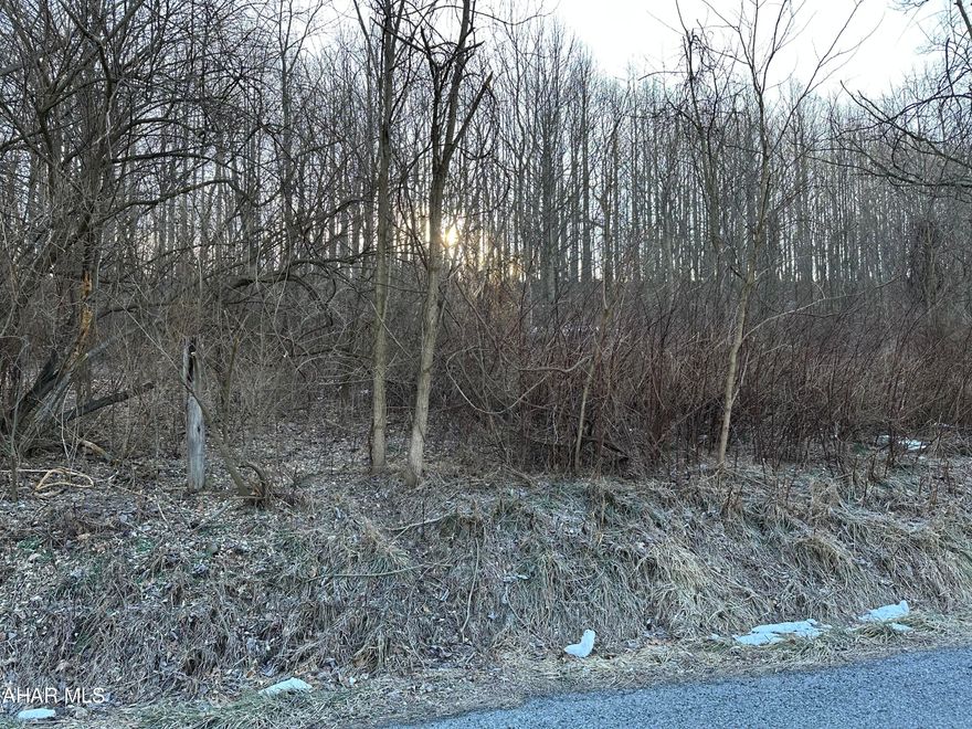 Countryside property with country views and privacy on a quiet road. Electric is accessible but not on site. Property is wooded. Located 20 mins from Cumberland and minutes from the Bedford Springs and Downtown Bedford. No perc has been done to property.