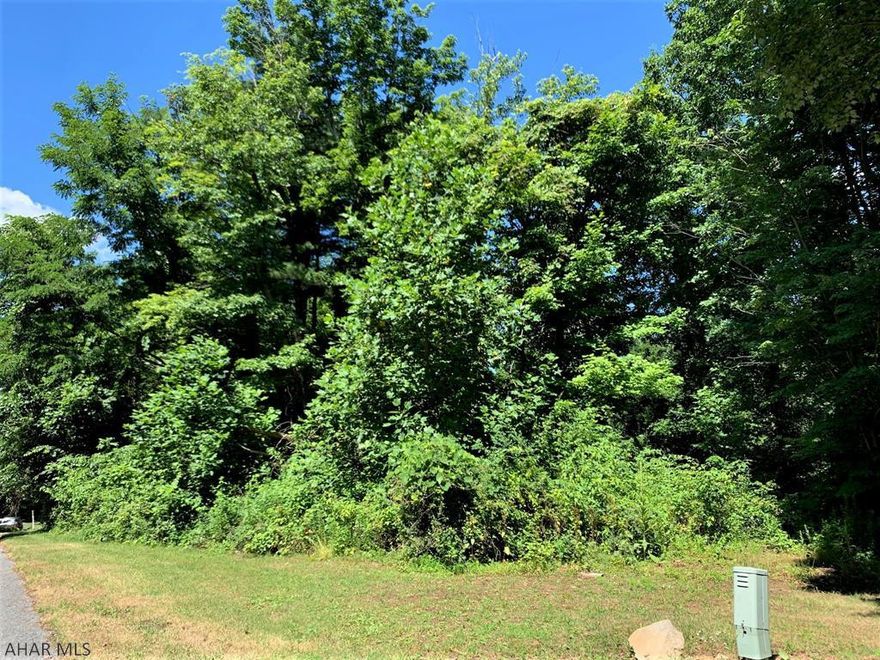 Wooded building lot in beautiful Juniata Mills Development! This lot contains .597 acre, has public sewer and electric. Buyer to drill a well. Perfect building lot for your new dream home!!