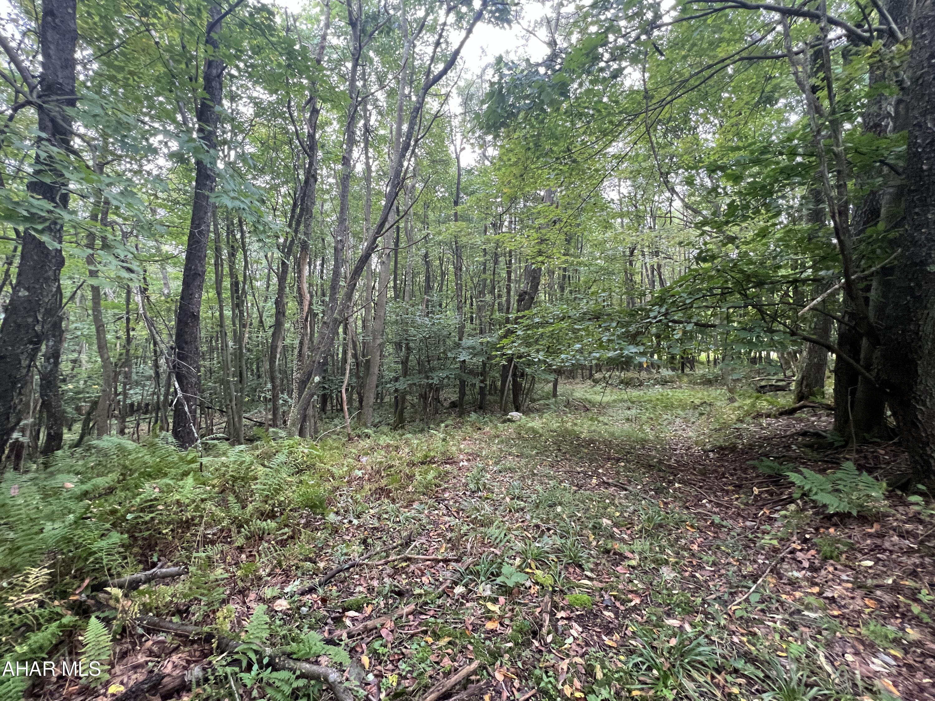 Folmont - Commercial Sale