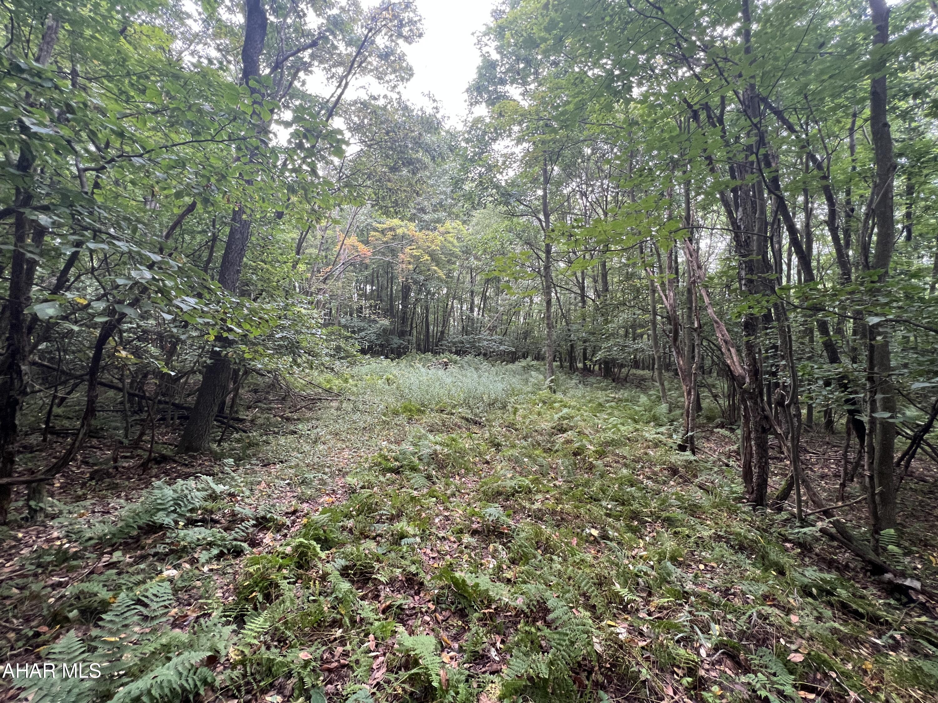 Folmont - Commercial Sale