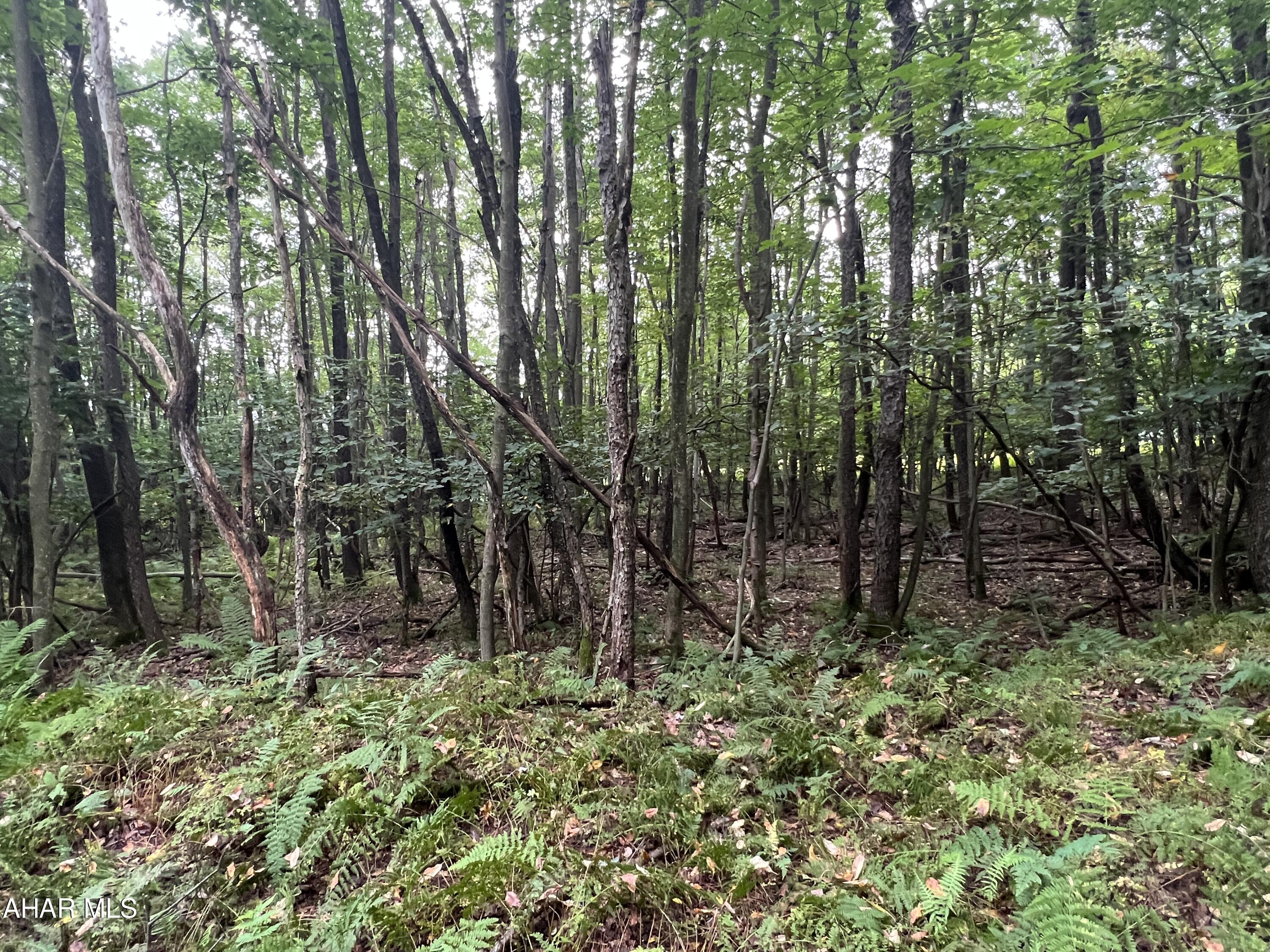 Folmont - Commercial Sale