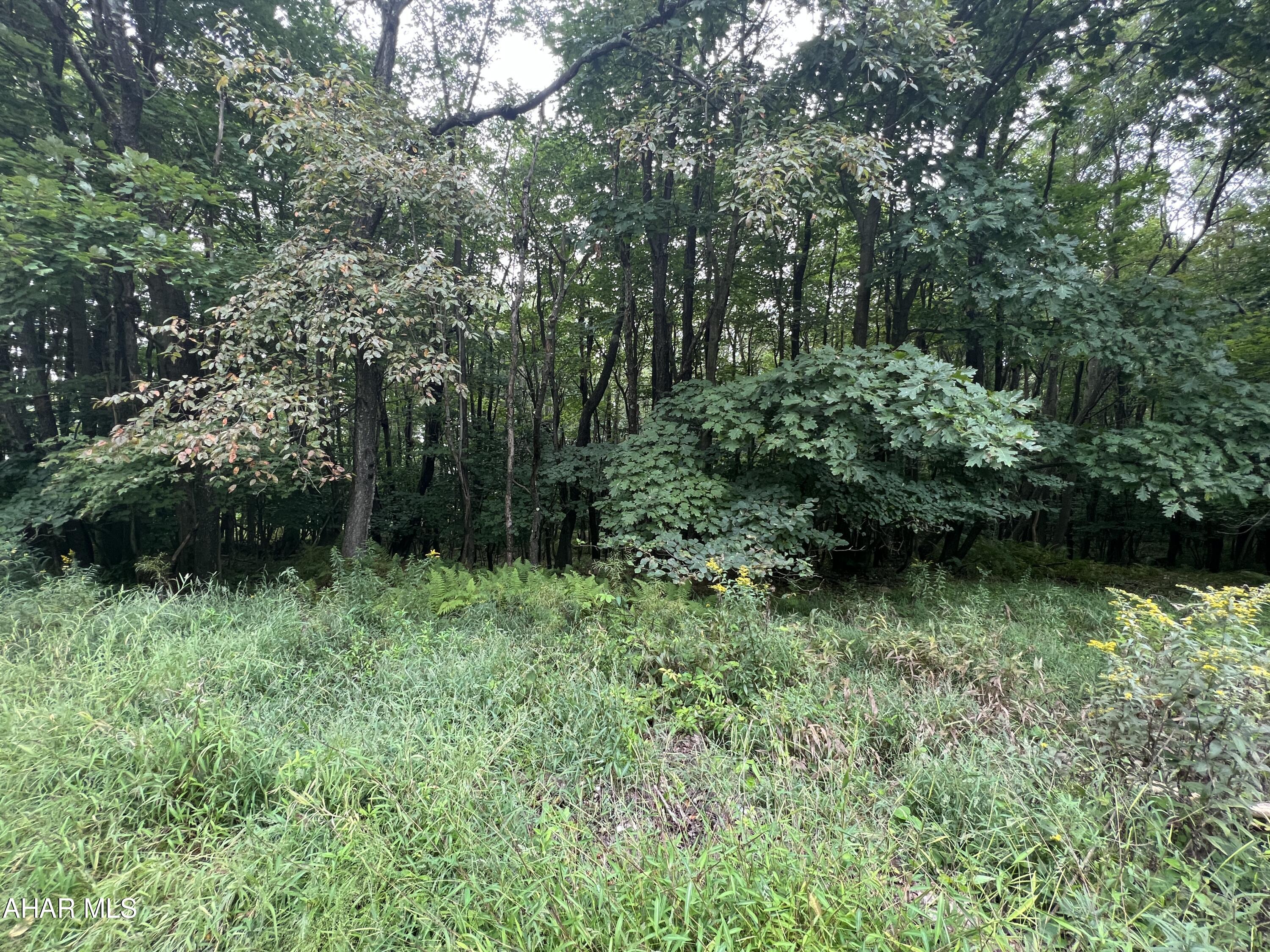 Folmont - Commercial Sale