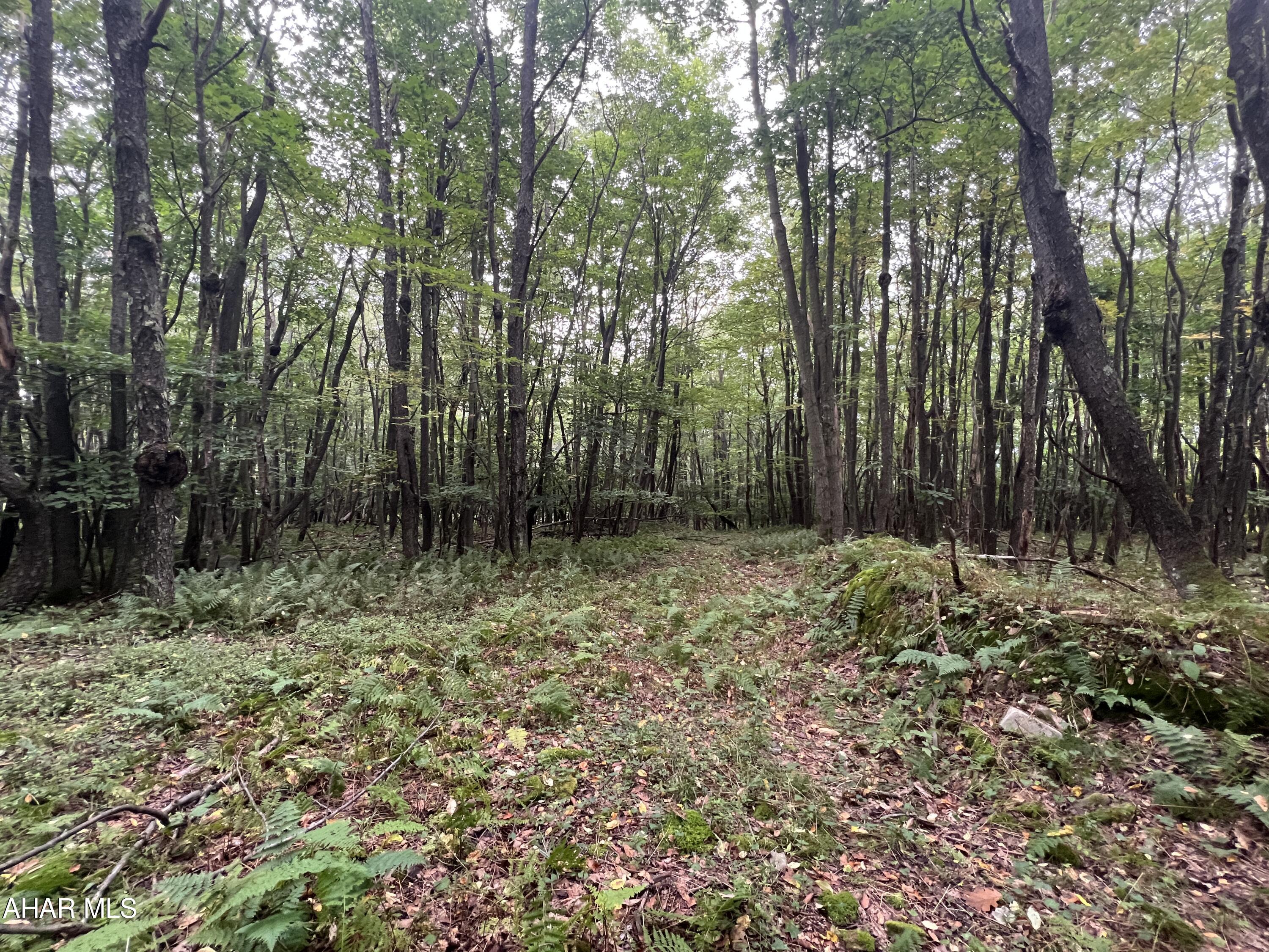 Folmont - Commercial Sale