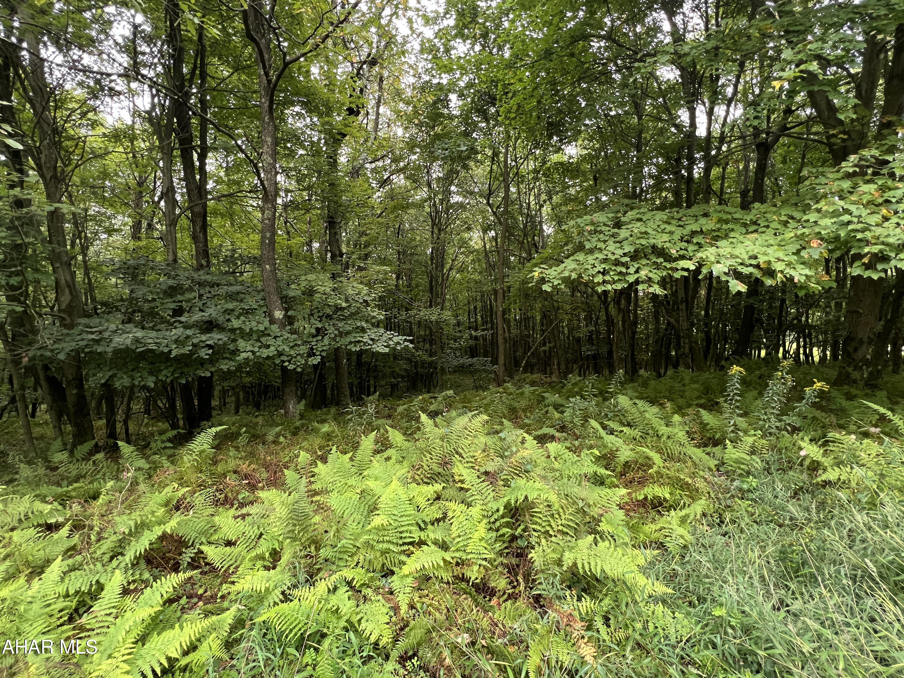 Folmont - Commercial Sale