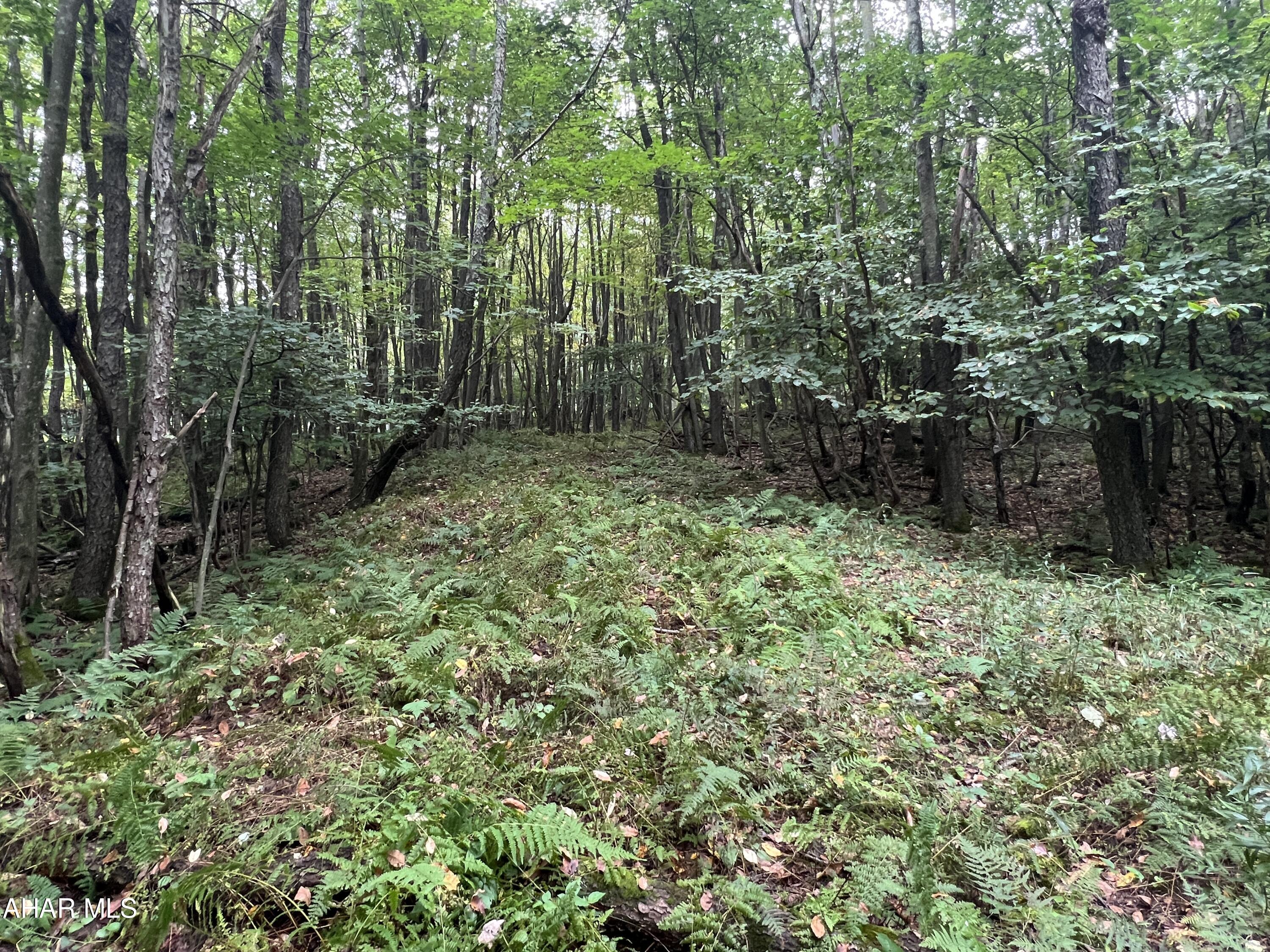 Folmont - Commercial Sale