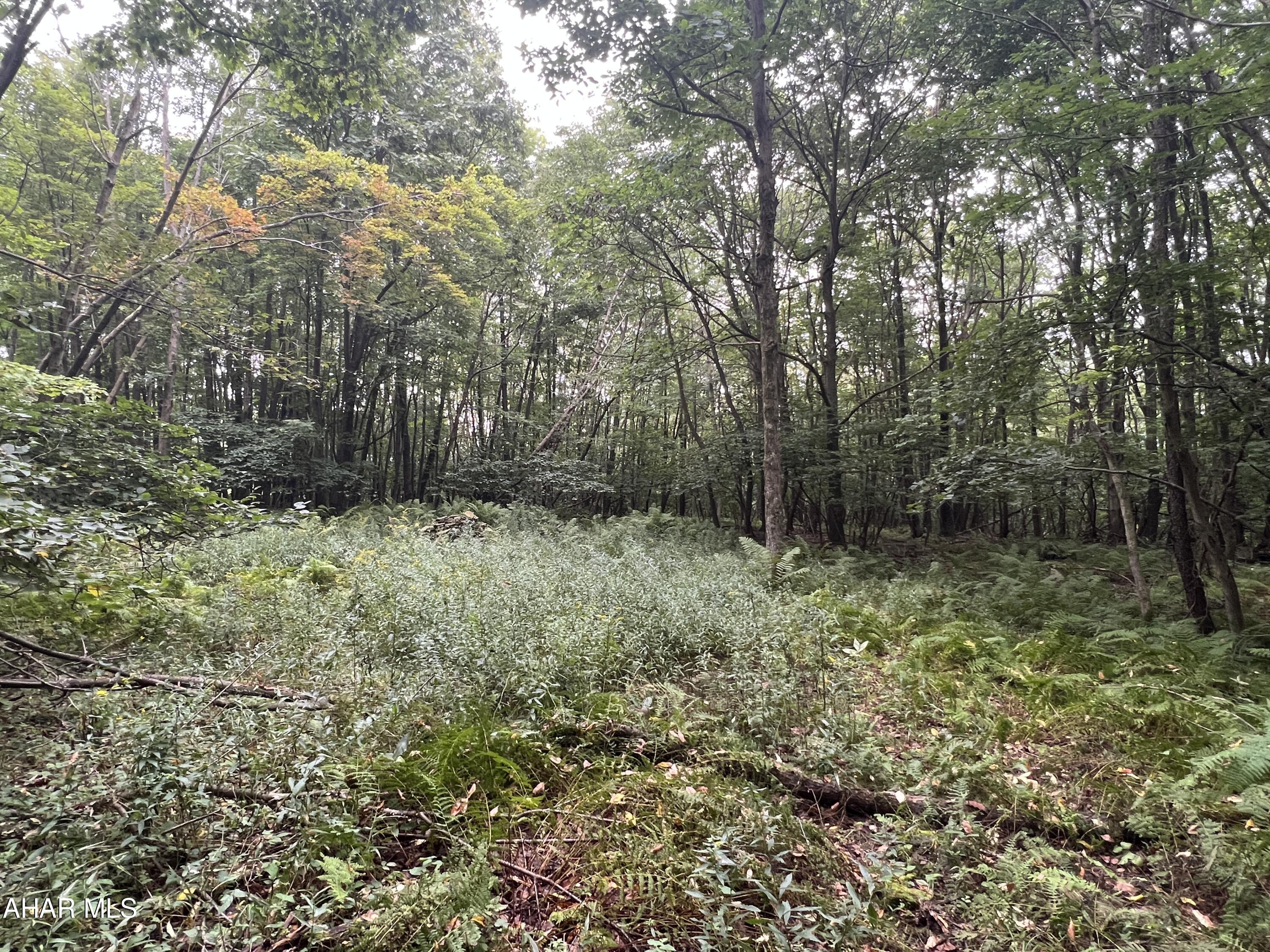 Folmont - Commercial Sale