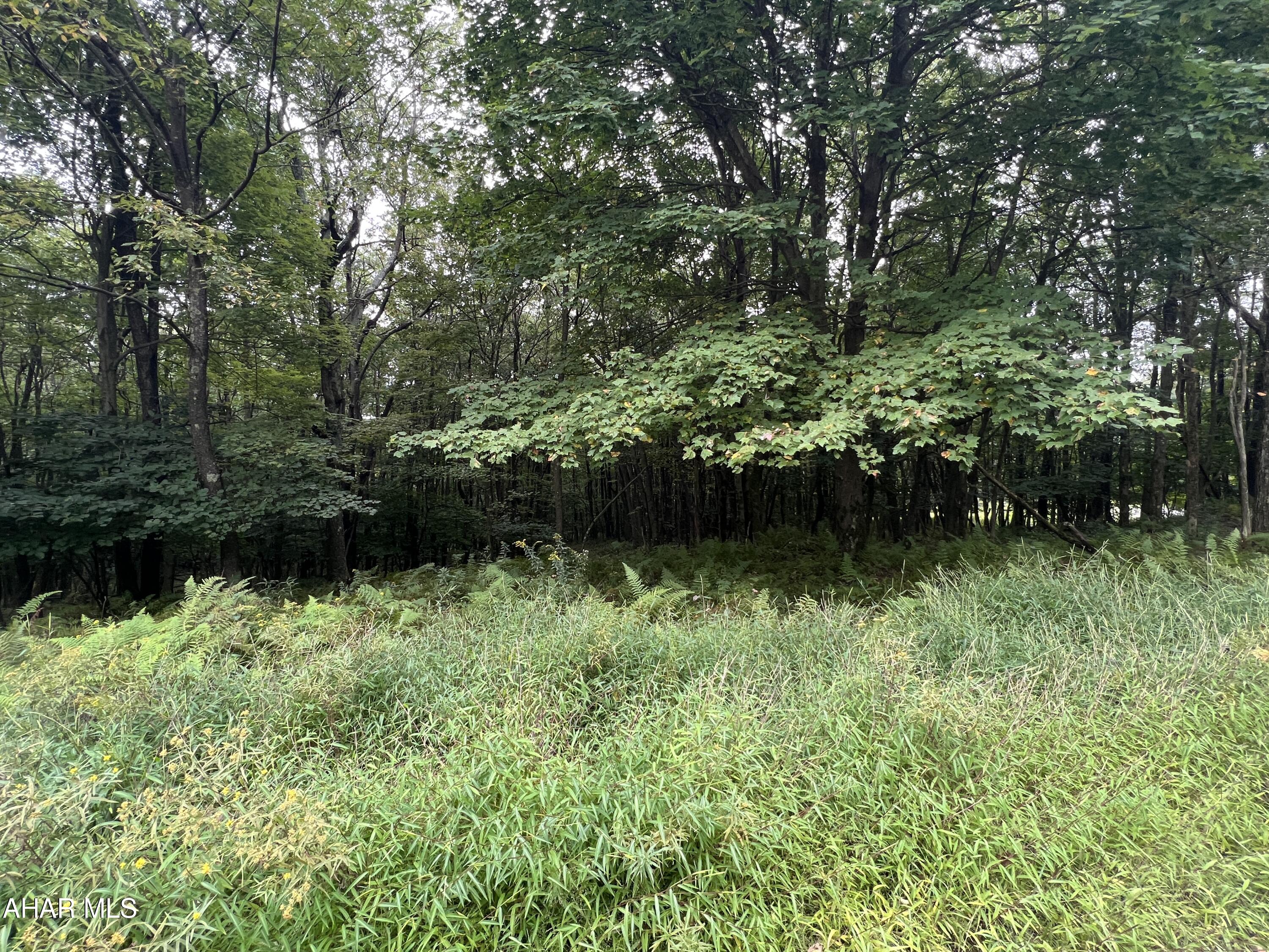 Folmont - Commercial Sale