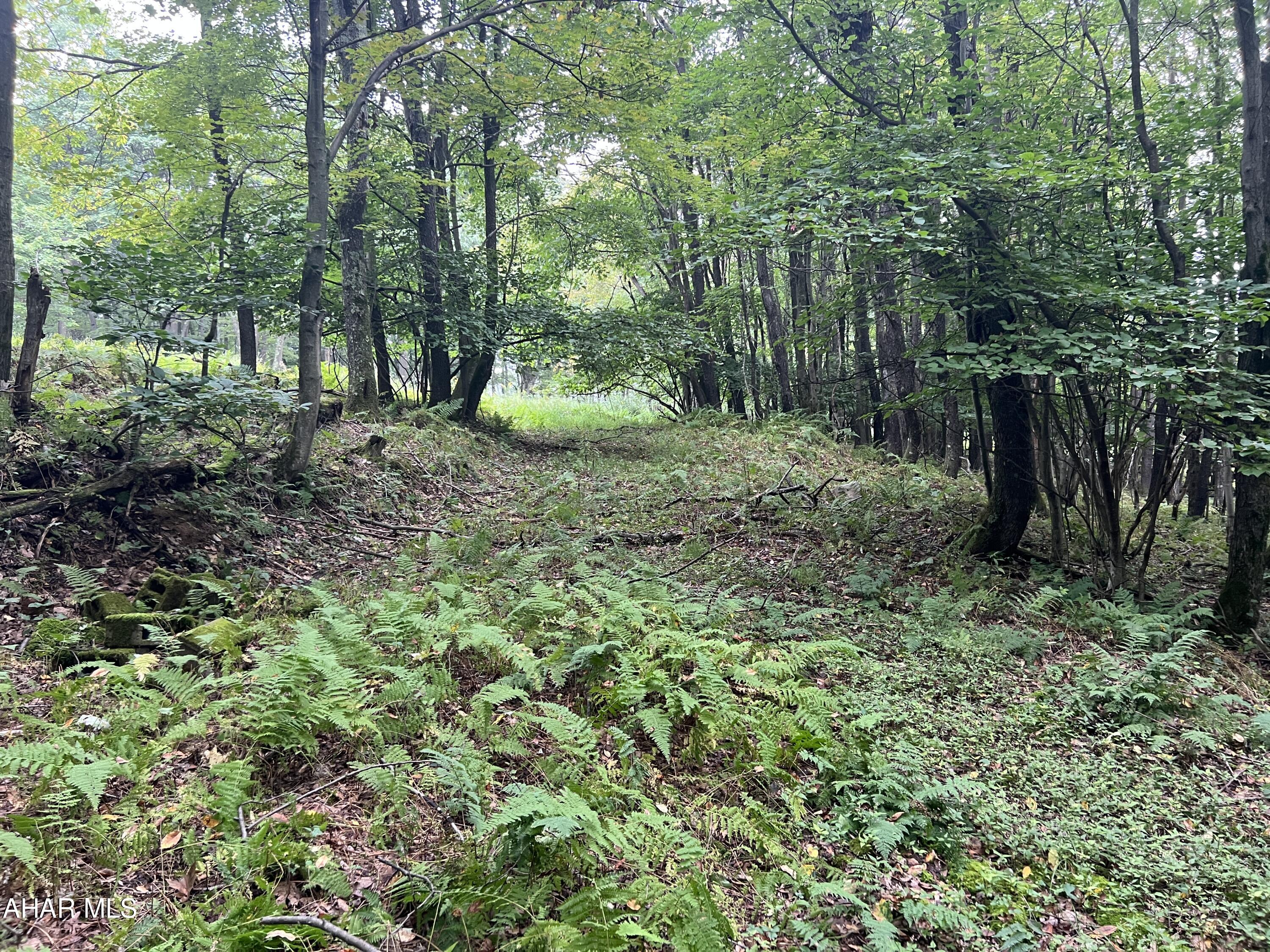 Folmont - Commercial Sale